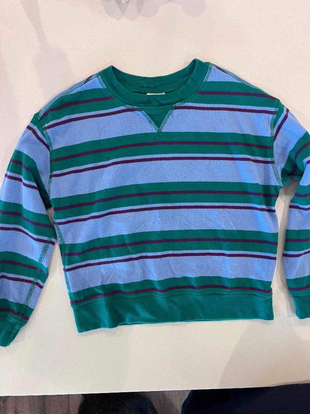 Boys Hanna Anderson sweatshirt